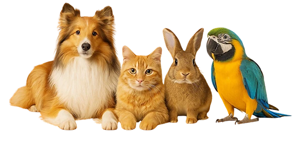 Ponuda za sve ljubimce