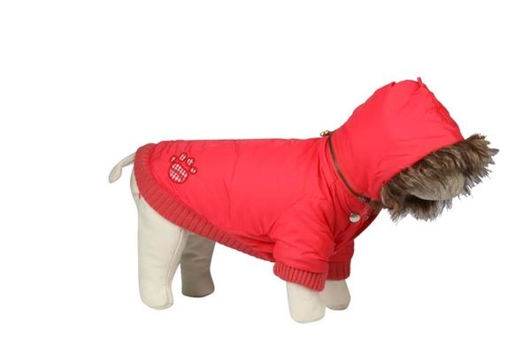 FERRIBIELLA JAKNICA 50cm