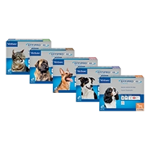 EFFIPRO DUO ZA PSE 40-60kg 1kom