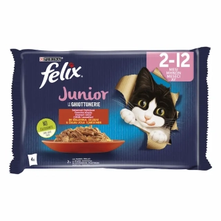 FELIX JUNIOR GOVEDINA I PILETINA U ŽELEU 4x85g