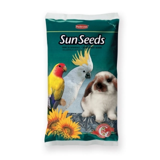 PADOVAN SUNCOKRET SREDNJE ZRNO 500g