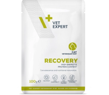 VET EXPERT RECOVERY 100g